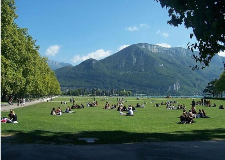 Ferienwohnung La Petite Venise Des Alpes, Ultra Centre 1 A 5 Pers Annecy Exterior foto
