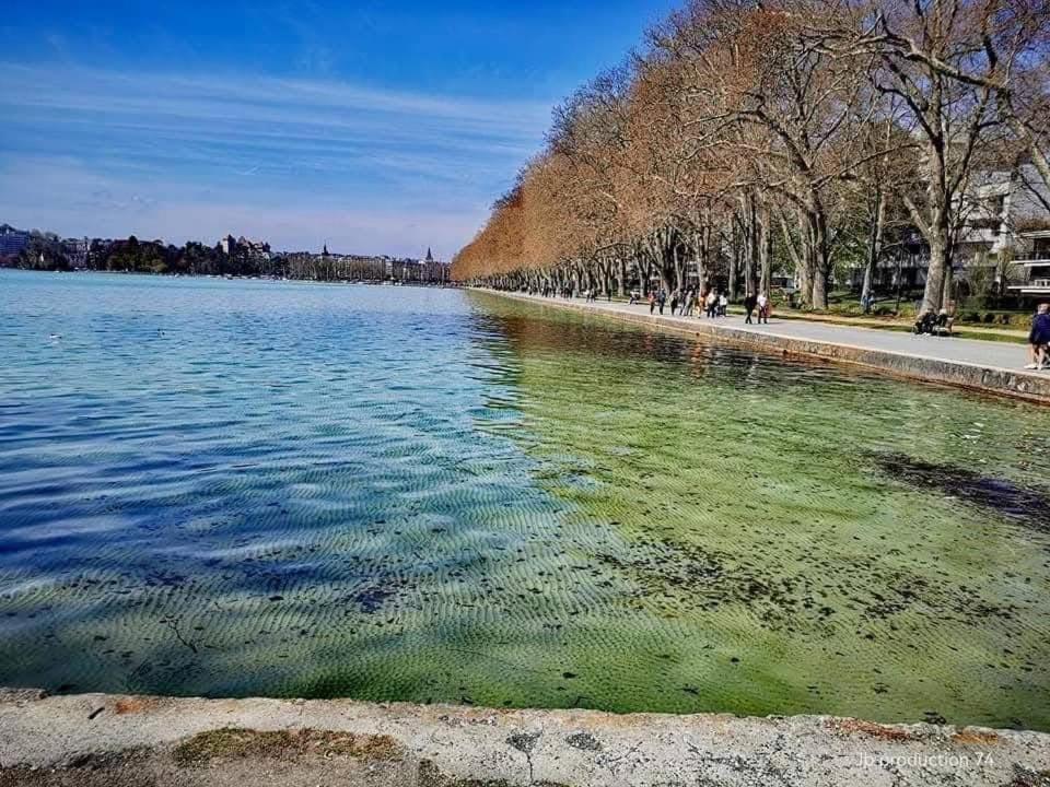 Ferienwohnung La Petite Venise Des Alpes, Ultra Centre 1 A 5 Pers Annecy Exterior foto