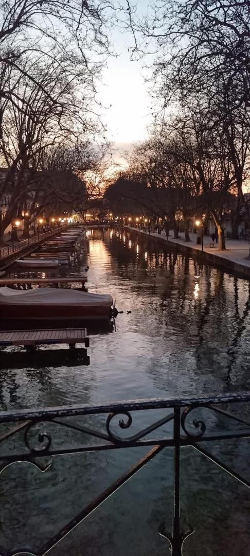 Ferienwohnung La Petite Venise Des Alpes, Ultra Centre 1 A 5 Pers Annecy Exterior foto